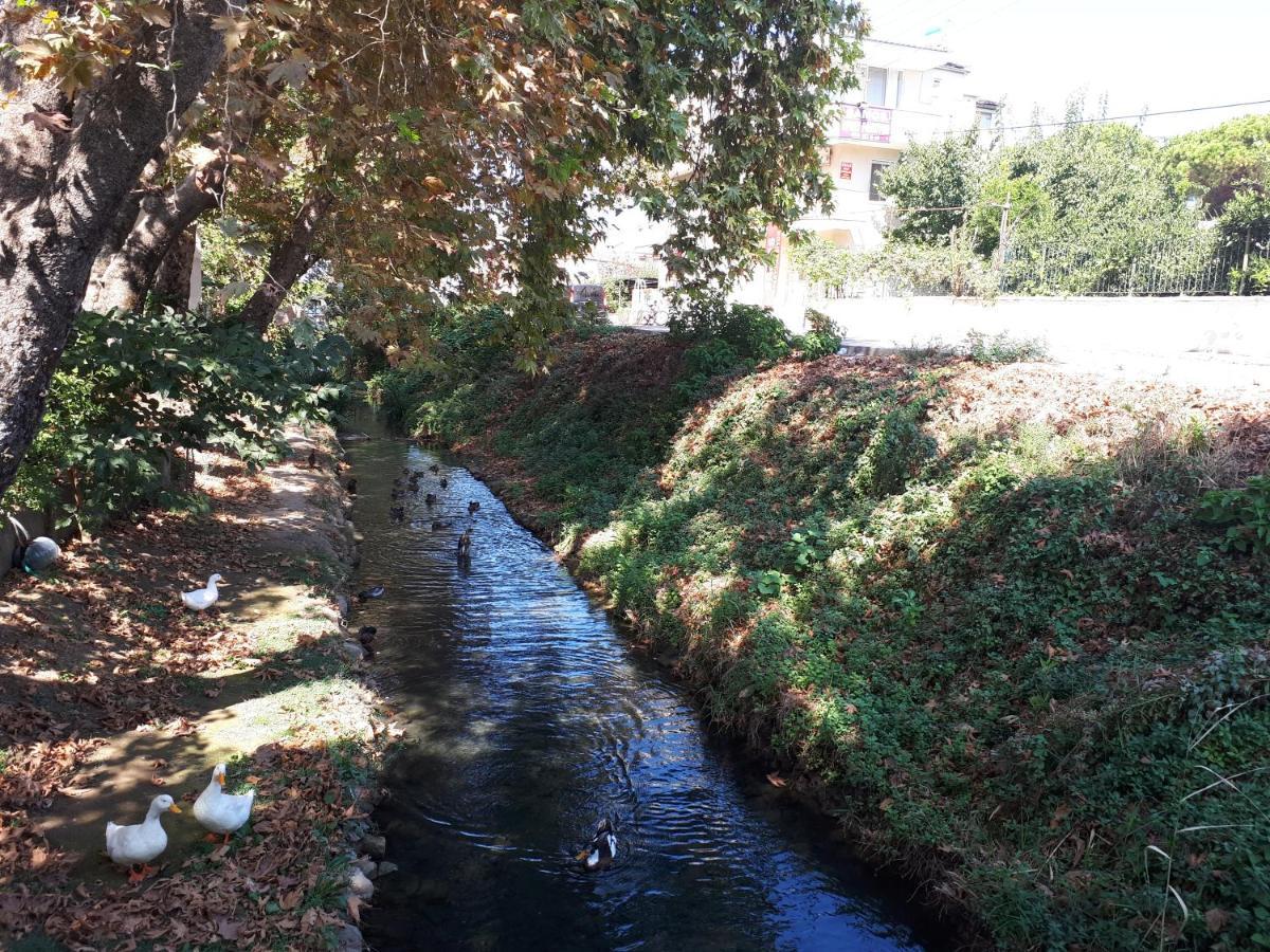 Samos Apart Pension Guzelcamlı Kültér fotó