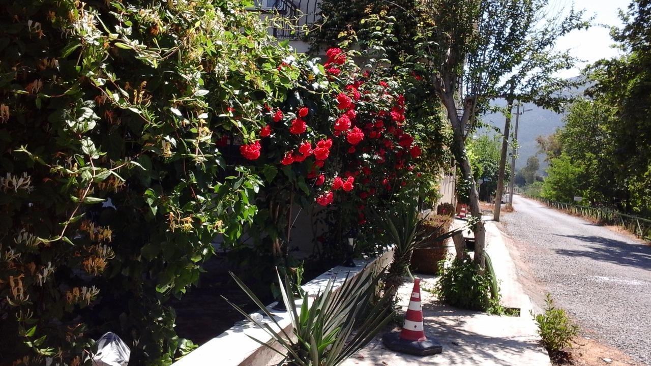 Samos Apart Pension Guzelcamlı Kültér fotó